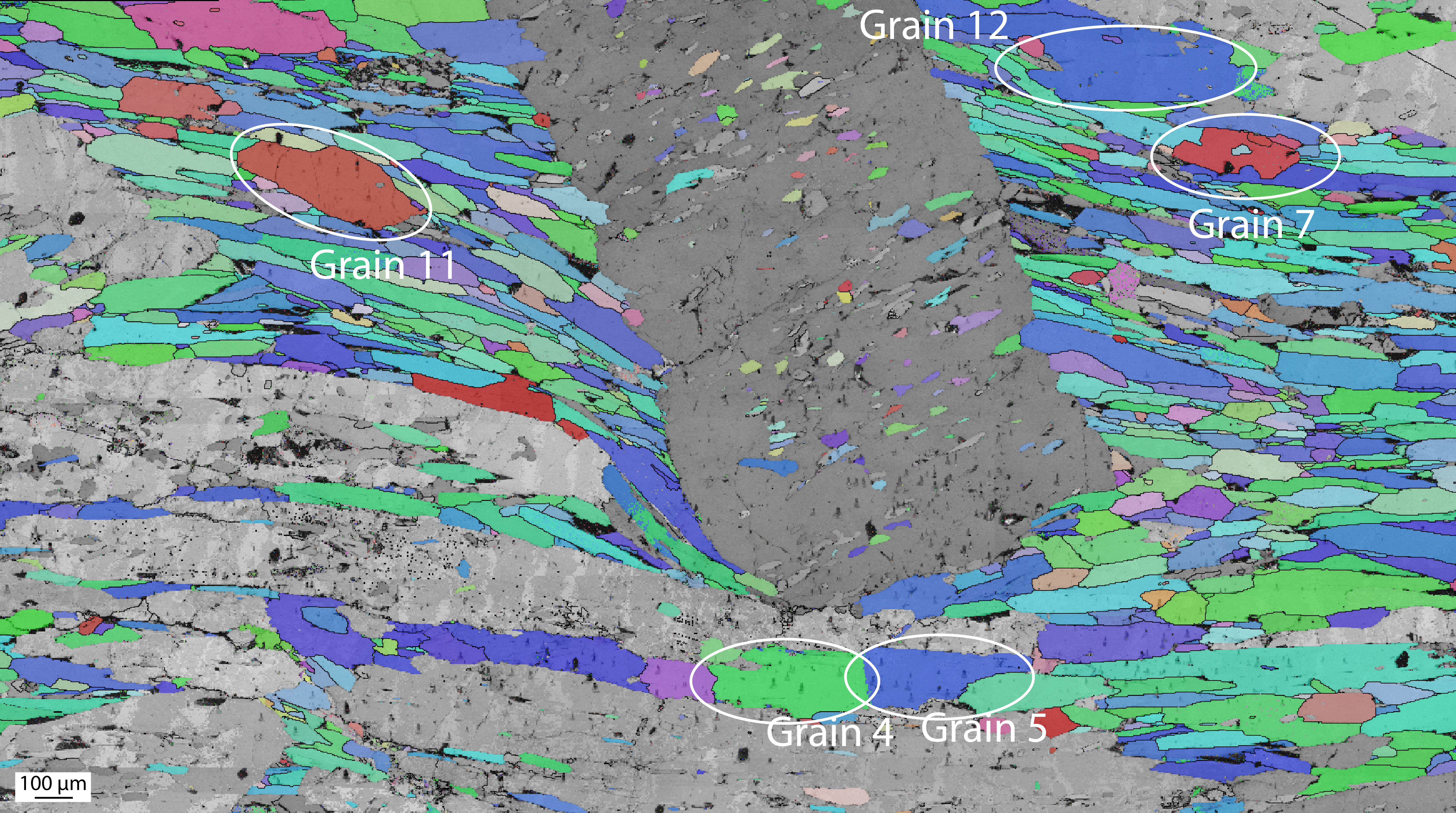 Grain Selection Map