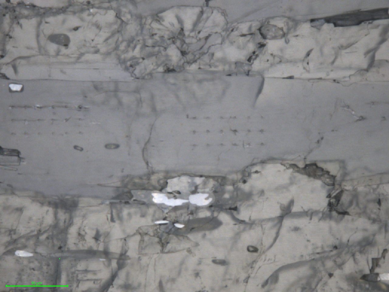 Grain 5 After Indentation